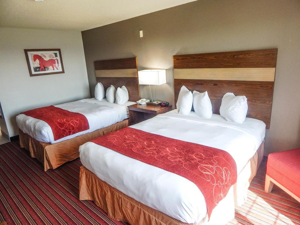 Country Inn & Suites By Radisson, Dfw Airport South, Tx Ървинг Екстериор снимка
