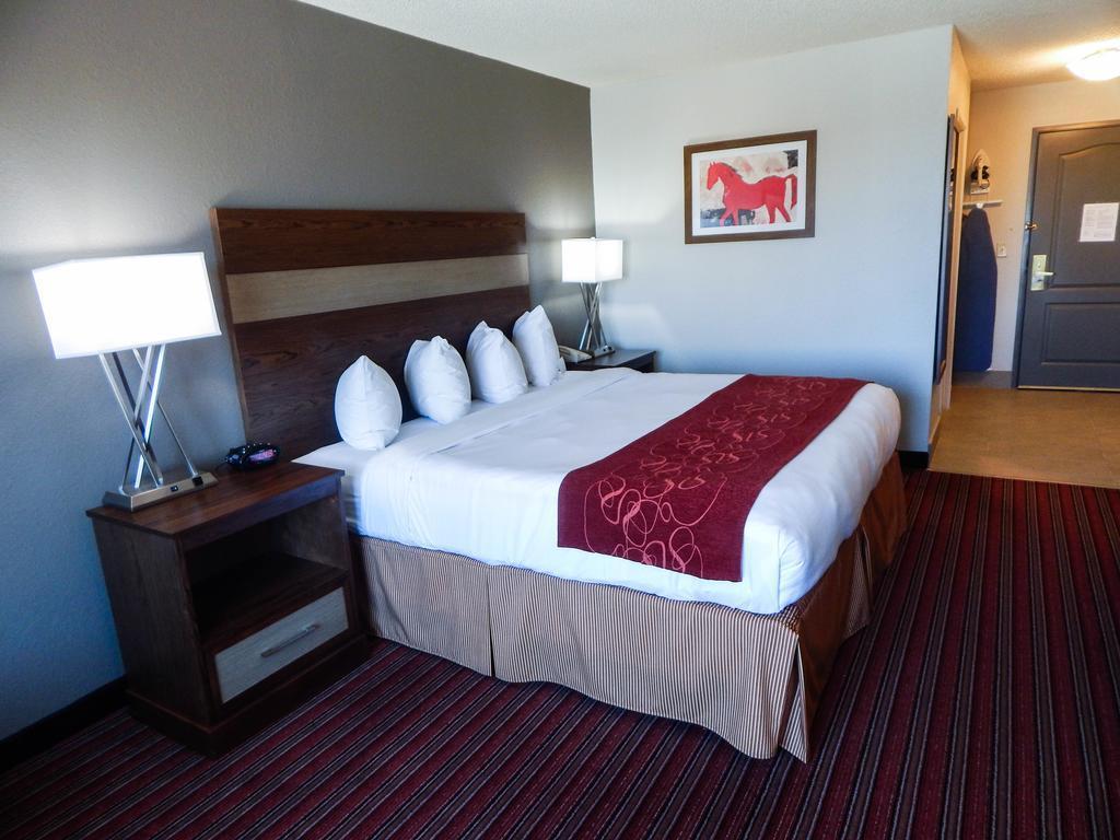 Country Inn & Suites By Radisson, Dfw Airport South, Tx Ървинг Екстериор снимка